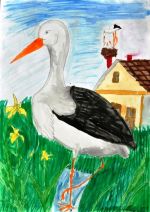 Halušková Simona.jpg